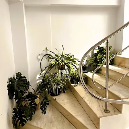 Complex Meridian * Эфорие Норд